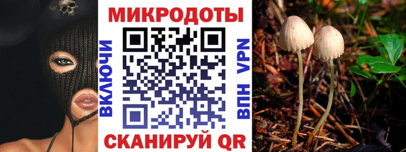 darknet наркотические препараты  мега ТОР  Анадырь  Галлюциногенные грибы GOLDEN TEACHER 